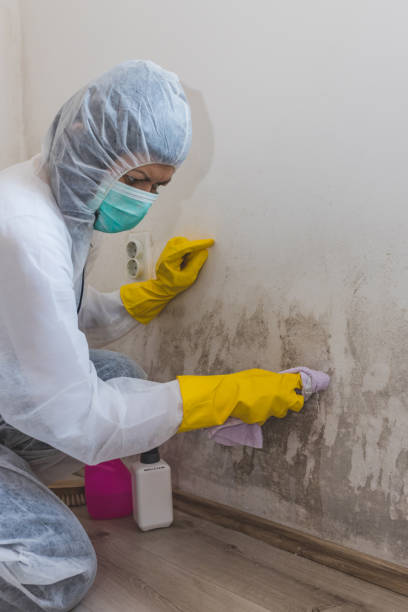 Best Dehumidification Services  in Stigler, OK